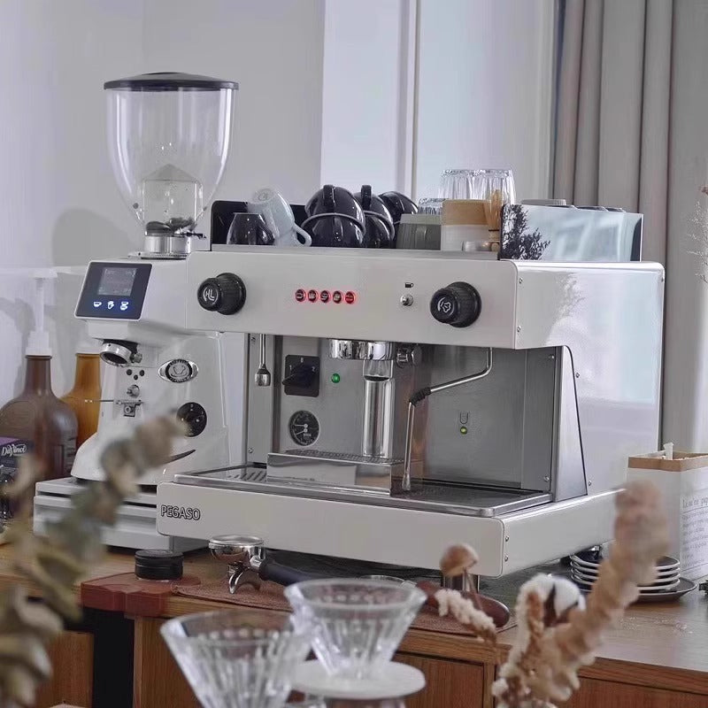 Wega Pegaso Commercial E61 Espresso Machine – Electro-Control, Single & Double Group Head (White / Black / Silver)