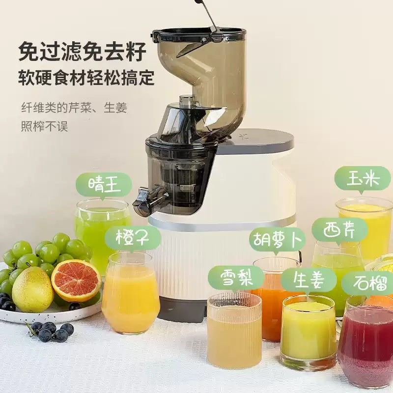 Extra-Large Feed Chute Cold Press Masticating Juicer - Heavy-Duty Ginger & Vegetable Juicing Machine