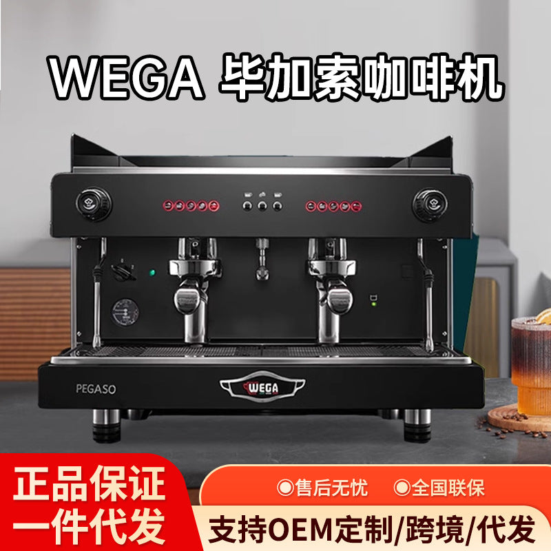Wega Pegaso / Picasso Commercial E61 Espresso Machine – Single & Double Group Head, Semi-Automatic (White / Black / Silver)