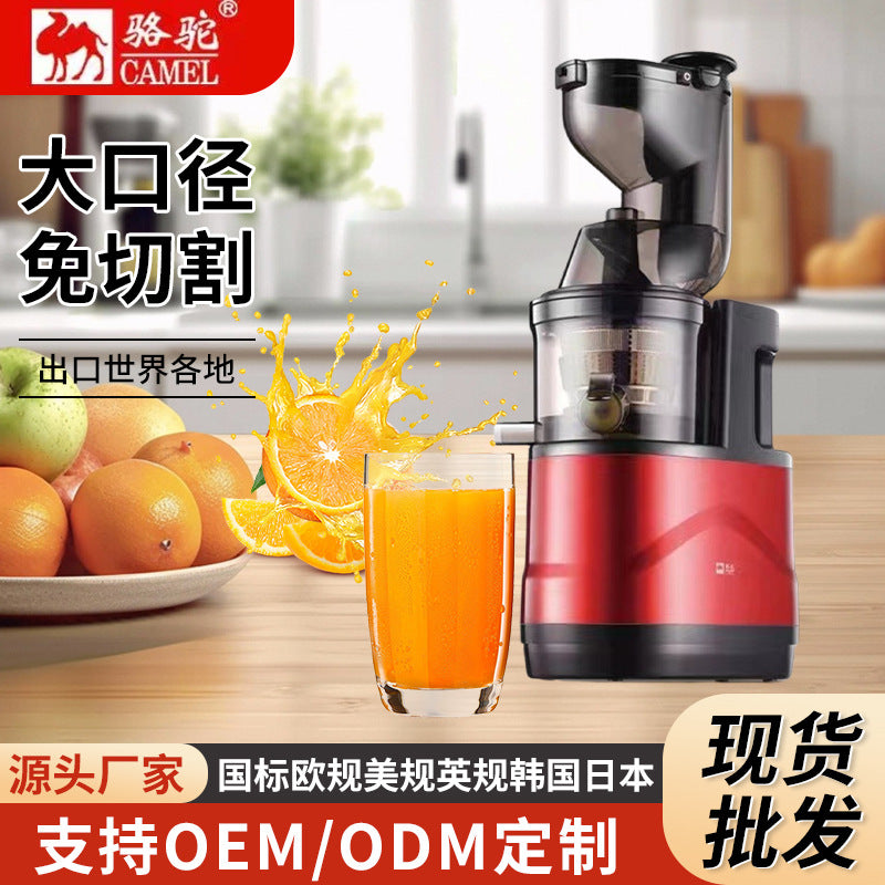 Extra-Large Feed Chute Cold Press Masticating Juicer - Heavy-Duty Ginger & Vegetable Juicing Machine