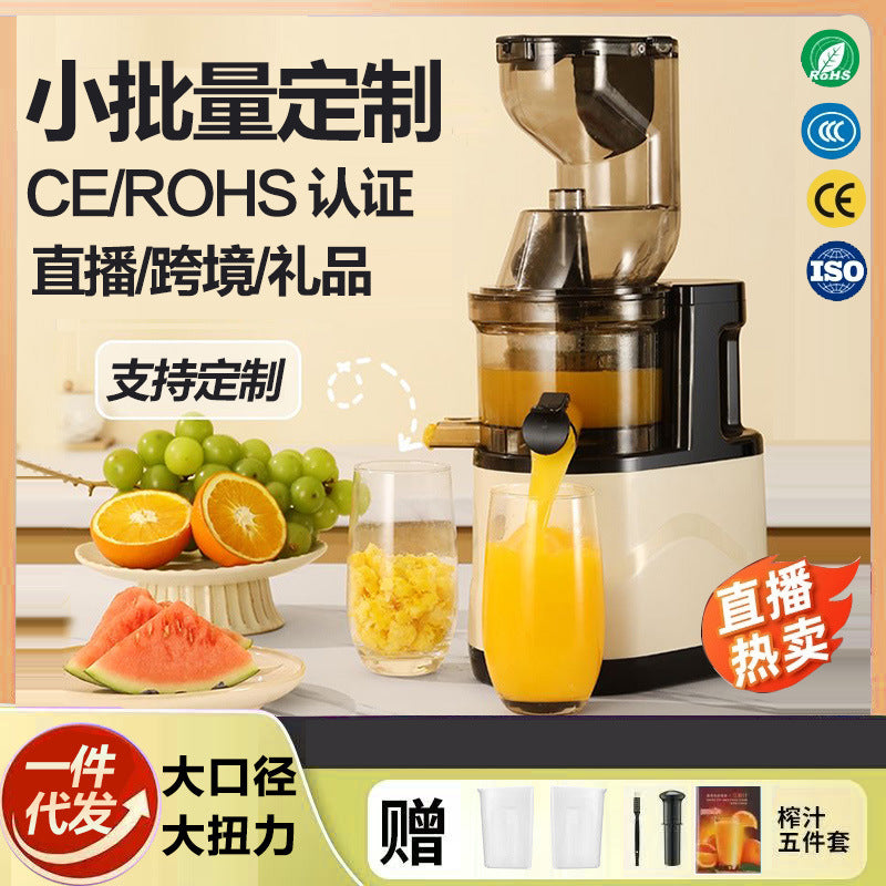 Extra-Large Feed Chute Cold Press Masticating Juicer - Heavy-Duty Ginger & Vegetable Juicing Machine