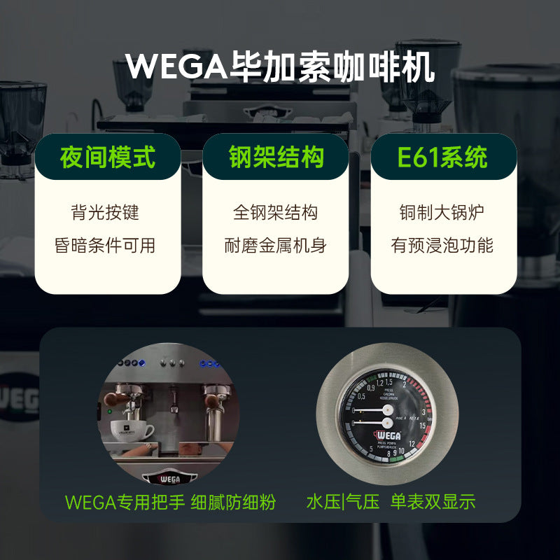 Wega Pegaso / Picasso Commercial E61 Espresso Machine – Single & Double Group Head, Semi-Automatic (White / Black / Silver)